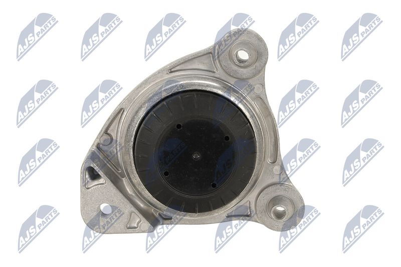 Paigutus, Mootor, NTY ZPS-ME-065