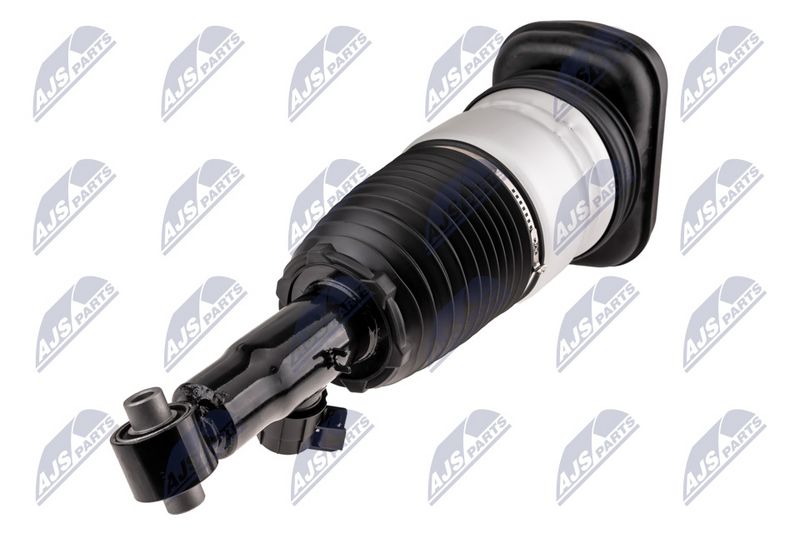Amort, NTY A-BM-101