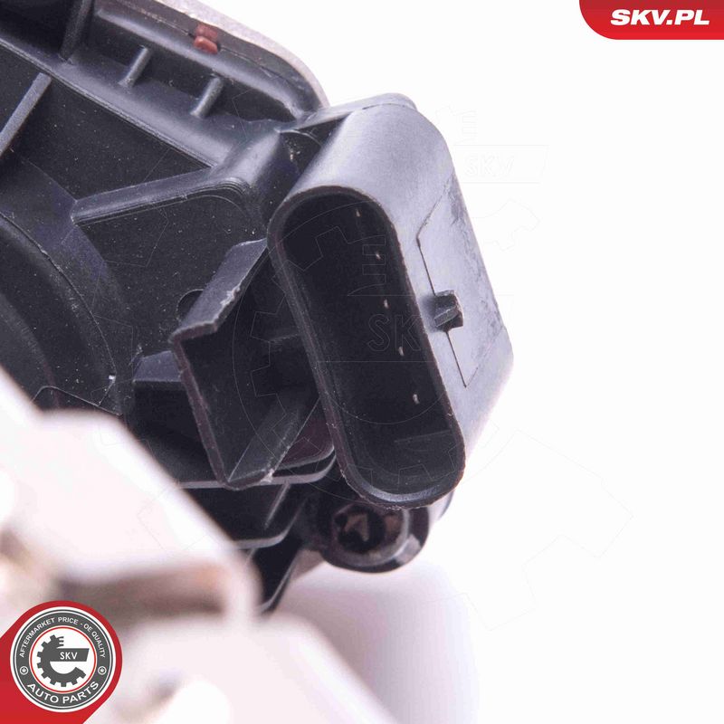 ESEN SKV 14SKV235 EGR Valve