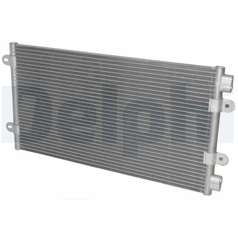 TSP0225269.JPG