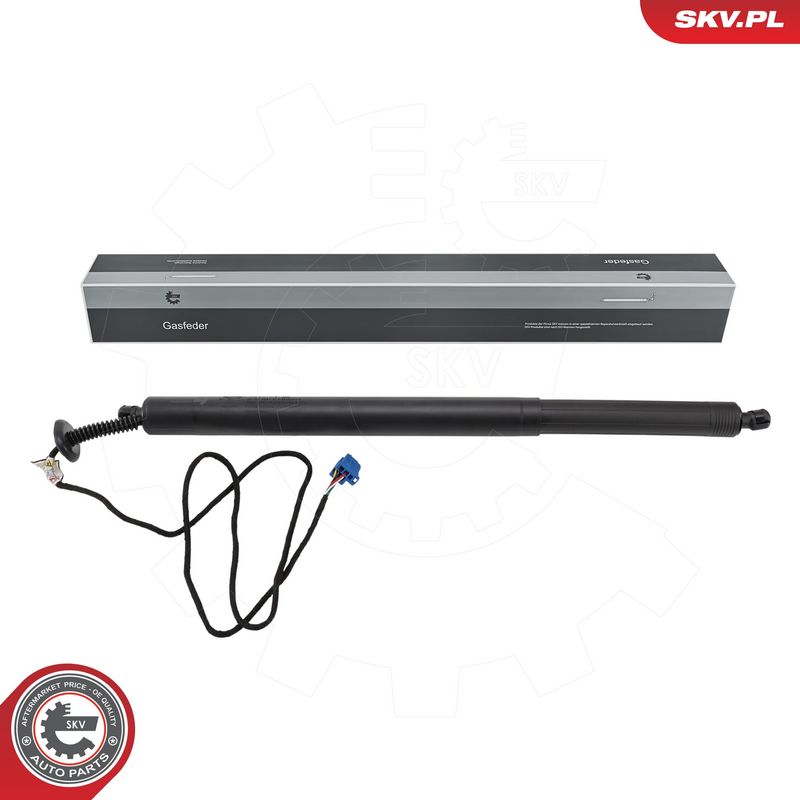 Elektrimootor, tagaluuk, ESEN SKV 52SKV879