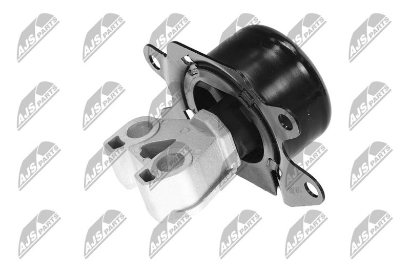 Paigutus, Mootor, NTY ZPS-PL-053