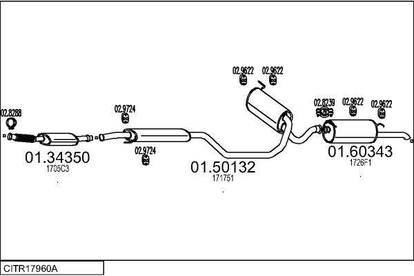 CITR17960A.JPG