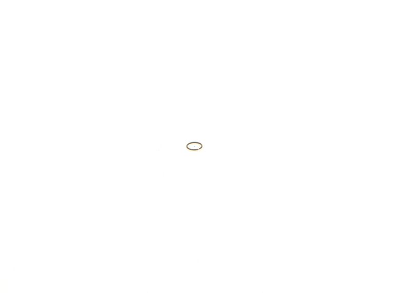 Image 25