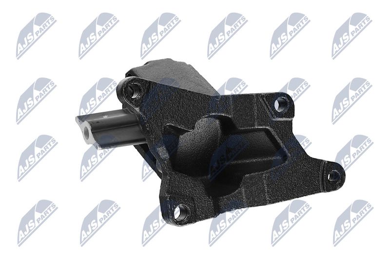 Paigutus, Mootor, NTY ZPS-CH-030