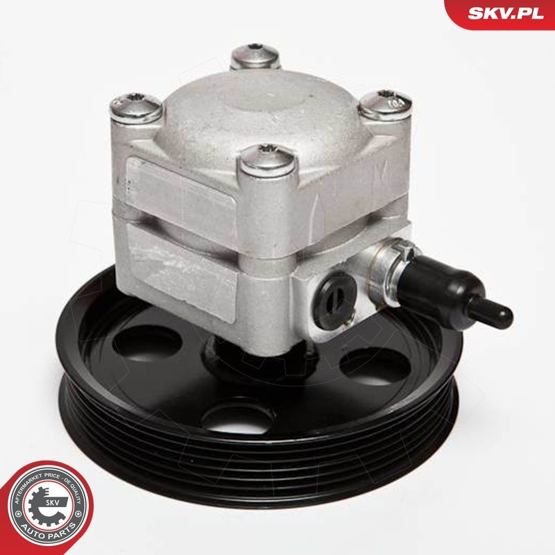 Hüdraulikapump, roolimine, ESEN SKV 10SKV074