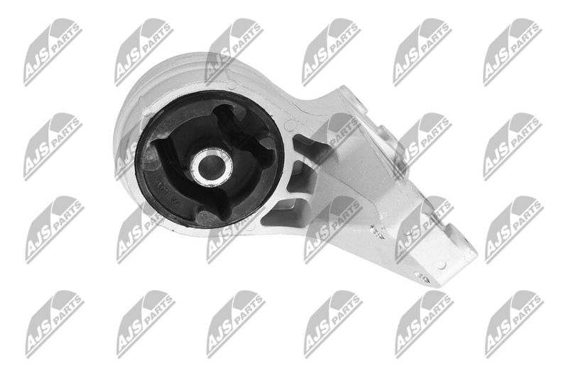 Paigutus, Mootor, NTY ZPS-CH-148