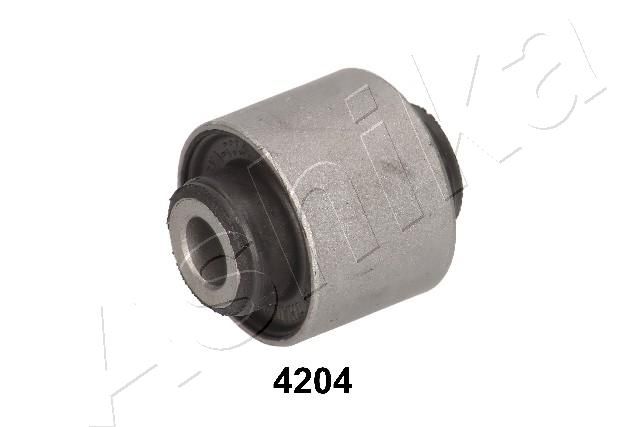 GOM-4204_1.JPG