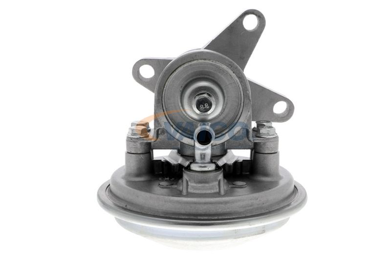 VAICO V25-1908 Mounting, engine