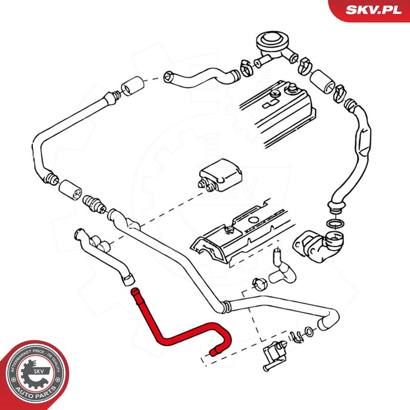 Voolik, Karterituulutus, ESEN SKV 24SKV462