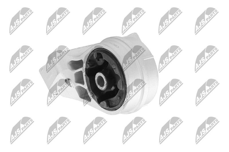 Paigutus, Mootor, NTY ZPS-CH-148