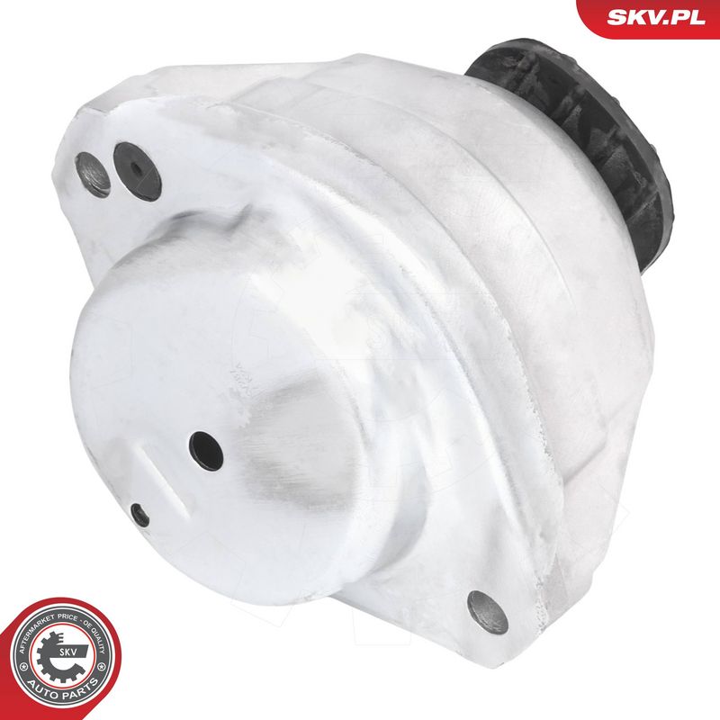 Paigutus, Mootor, ESEN SKV 75SKV287