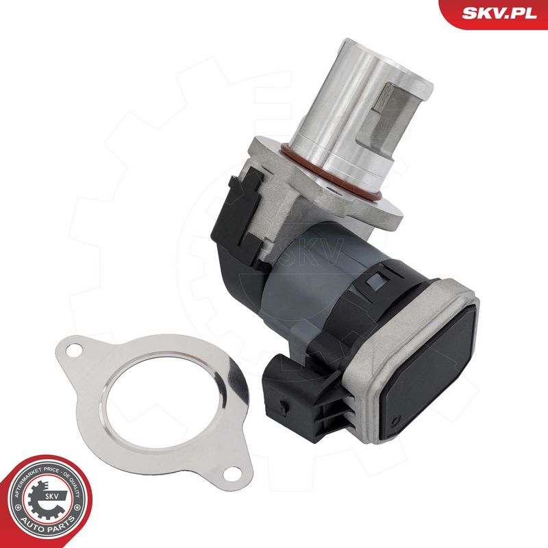 EGR-klapp, ESEN SKV 14SKV309