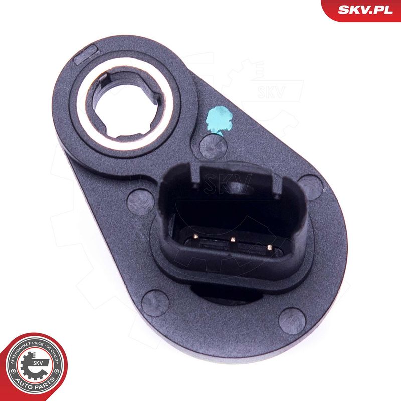 Andur, Nukkvõllipositsioon, ESEN SKV 17SKV494