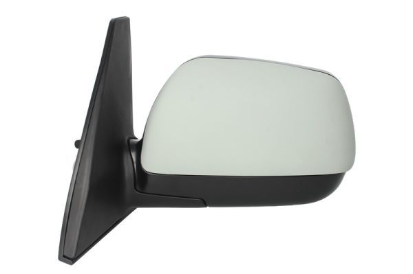 BLIC 5402-04-1121545P Exterior Mirror