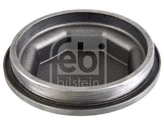 FEBI BILSTEIN 171253 Protection Lid, wheel hub