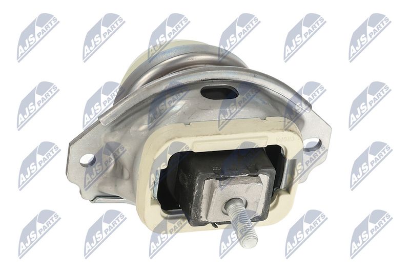 Paigutus, Mootor, NTY ZPS-LR-020