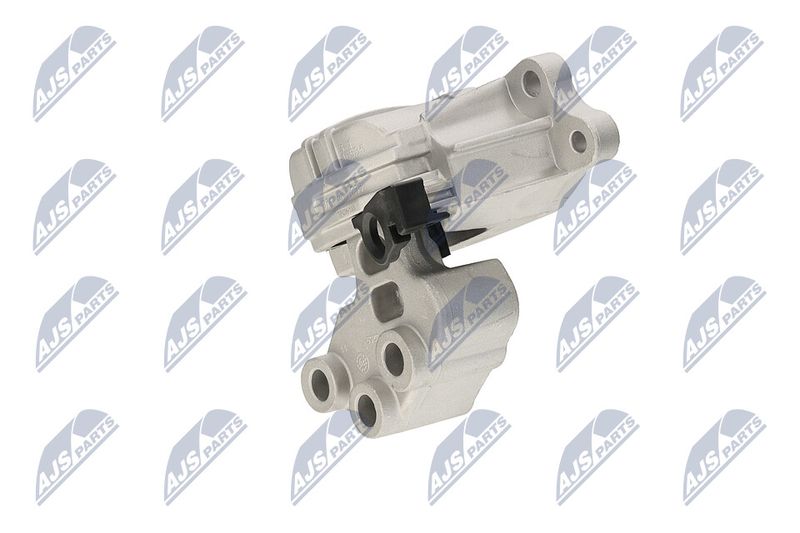 Paigutus, Mootor, NTY ZPS-CH-133