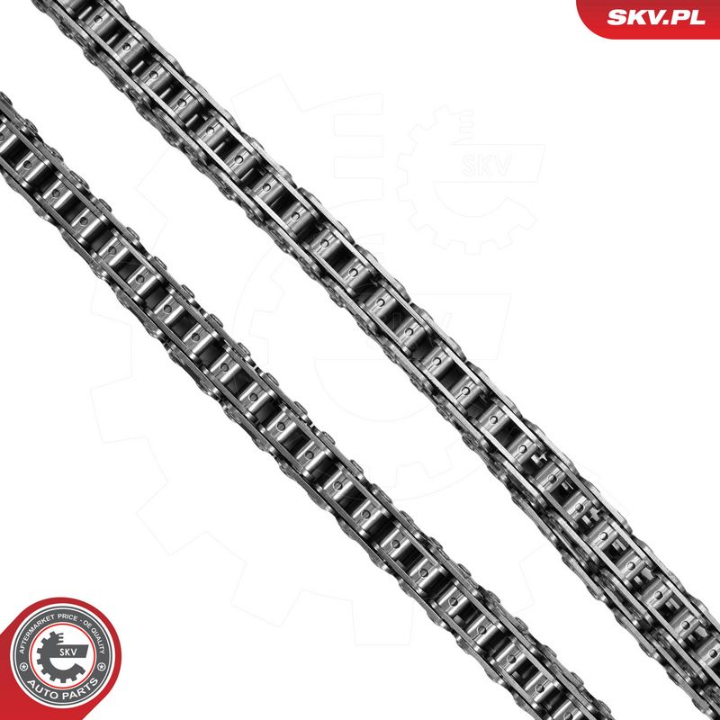 Mootori keti komplekt, ESEN SKV 21SKV276