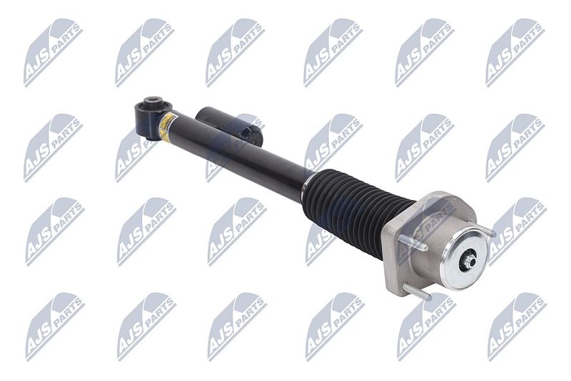 Amort, NTY A-LR-019