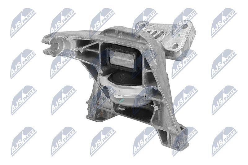 Paigutus, Mootor, NTY ZPS-PE-020
