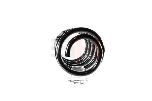 GH GH-204818 Suspension Spring