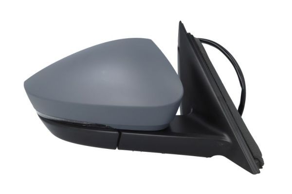 BLIC 5402-43-1925321P Exterior Mirror