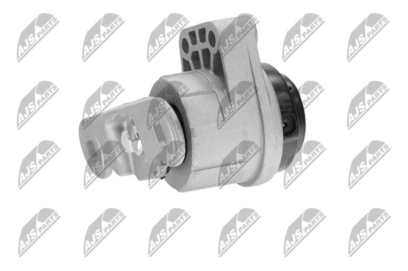 Paigutus, Mootor, NTY ZPS-FR-044