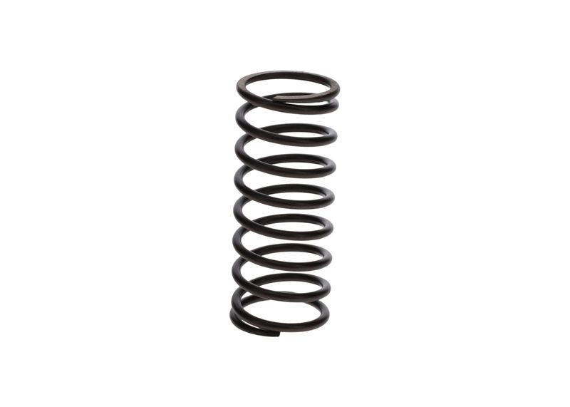Arc 1 424 631 005 BOSCH
