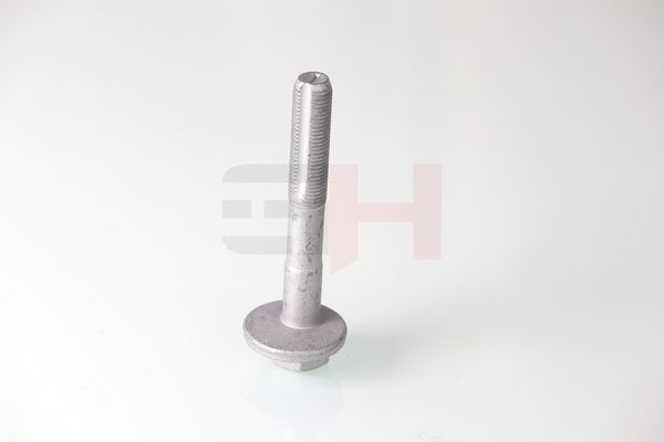 GH GH-399901 Camber Correction Screw