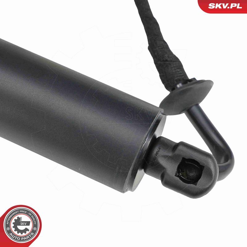 ESEN SKV 52SKV884 Electric Motor, tailgate