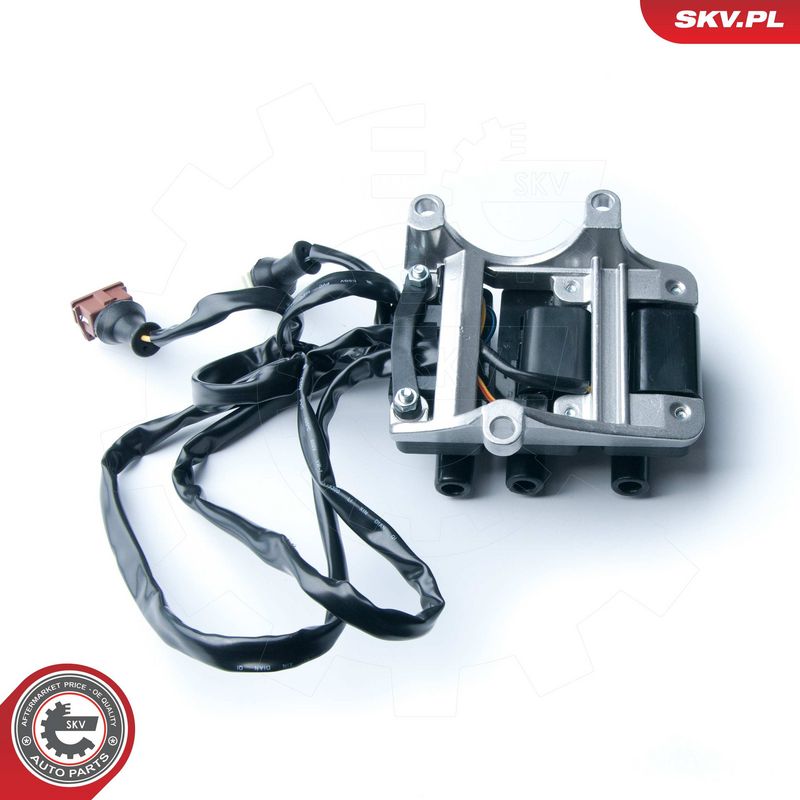 Süütepool, ESEN SKV 03SKV217