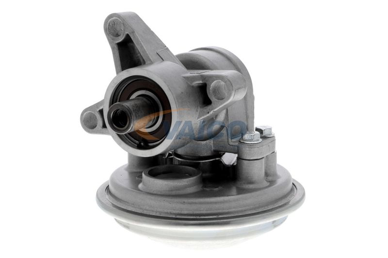 VAICO V25-1908 Mounting, engine
