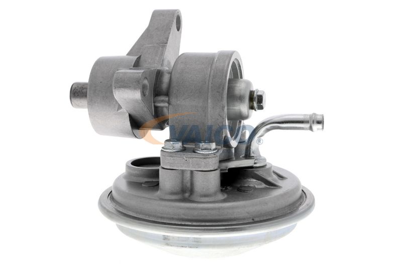 VAICO V25-1908 Mounting, engine
