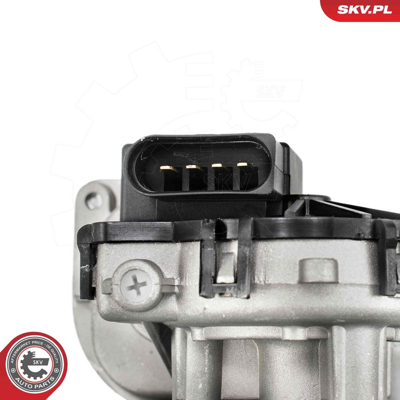 Pesurihoovastik, ESEN SKV 05SKV137