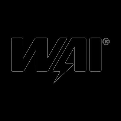 WAI törlőmotor WPM3045