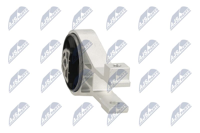 Paigutus, Mootor, NTY ZPS-PL-002