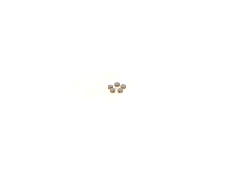BOSCH 1410067231 Washer
