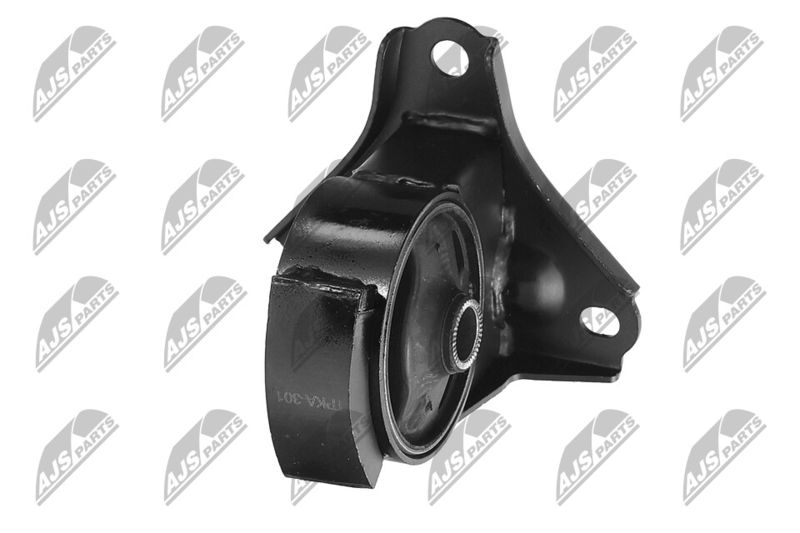 Paigutus, Mootor, NTY ZPS-KA-301