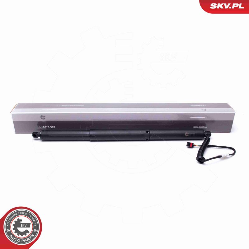 ESEN SKV 52SKV903 - Electric Motor, tailgate