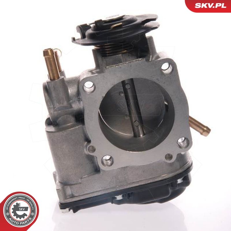 Drosselklapihoob, ESEN SKV 12SKV020