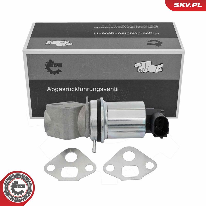 EGR-klapp, ESEN SKV 14SKV293