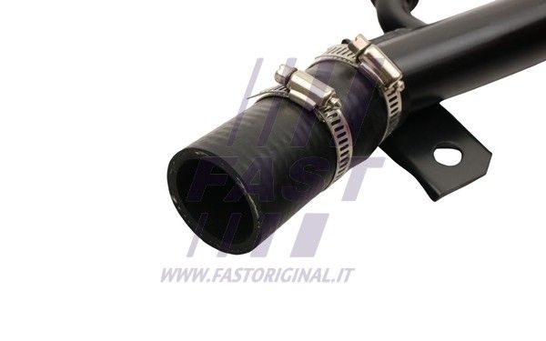 FT61562_3_1.JPG