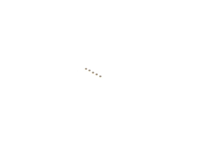 BOSCH F00ZC99731 Repair Kit, common rail system