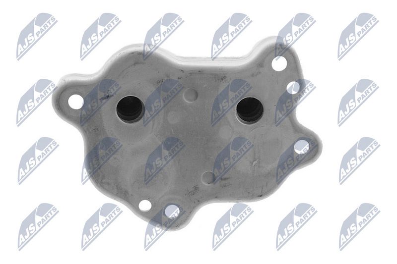 NTY CCL-BM-006 Oil Cooler, engine oil