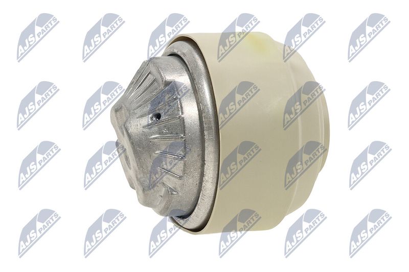 Paigutus, Mootor, NTY ZPS-ME-101