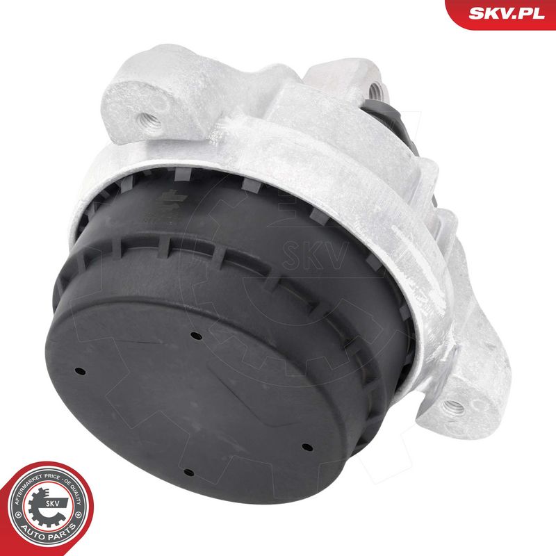 Paigutus, Mootor, ESEN SKV...