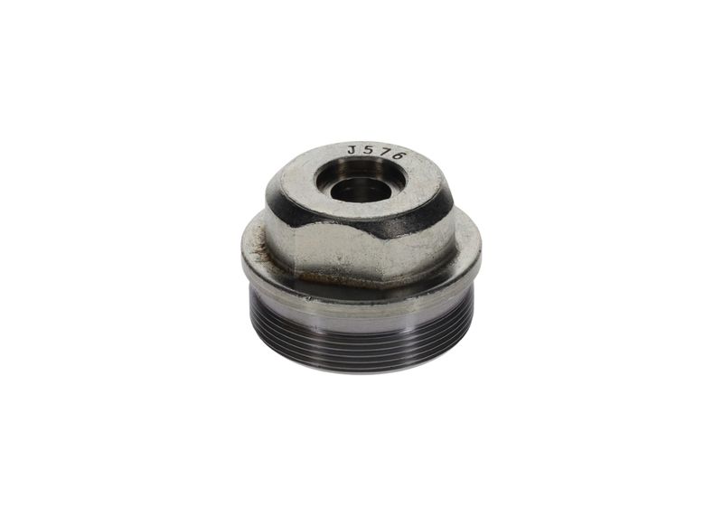 Surub F 002 D13 576 BOSCH
