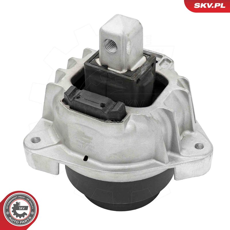 Paigutus, Mootor, ESEN SKV 75SKV131