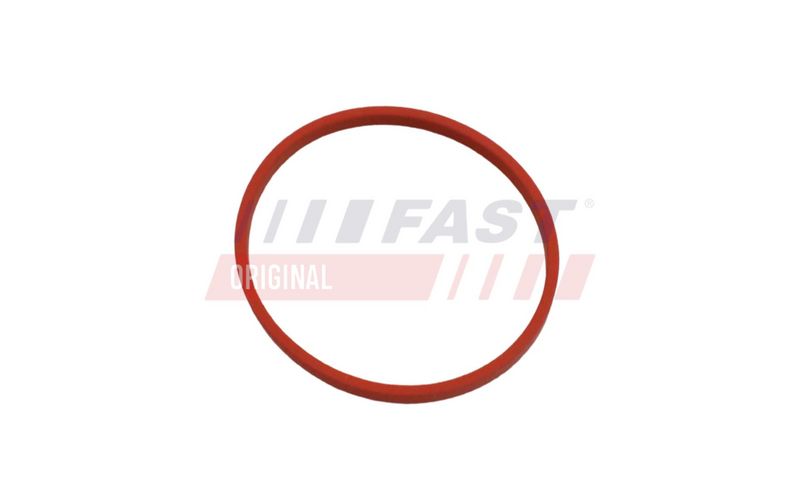 FAST FT49868 EGR vožtuvo tarpinė
